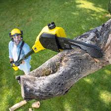 Best Seasonal Cleanup (Spring/Fall)  in Cheat Lake, WV